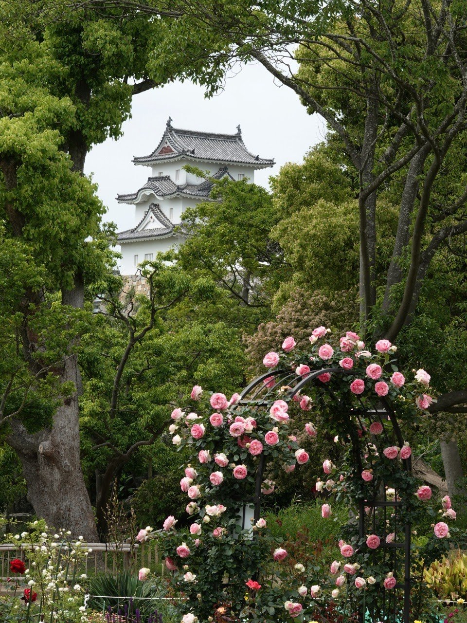 ひょうご はなまち 公財 兵庫県園芸 公園協会 花と緑のまちづくりセンター