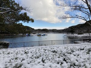 R5.1.25雪景色.JPG